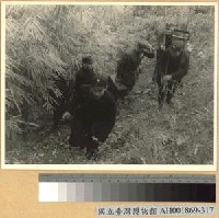 藏品(在華日僑反戰同盟會服務宜昌前線)的圖片